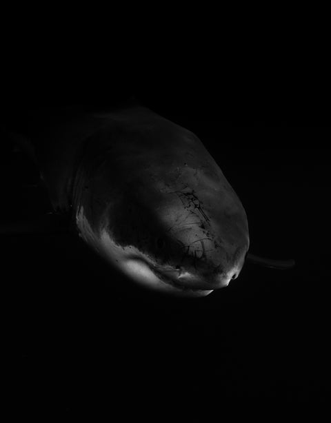 Emerge