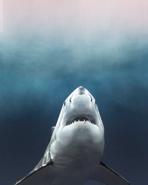Ruler of the Sea Print